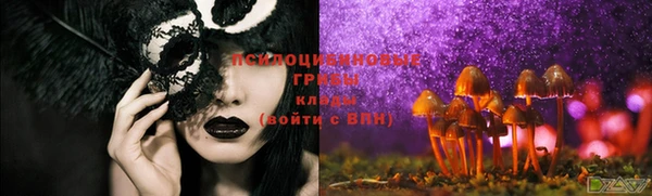 молекула духа Арсеньев