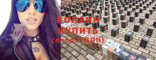 молекула духа Арсеньев