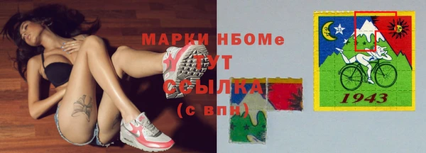 молекула духа Арсеньев