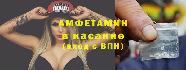 молекула духа Арсеньев
