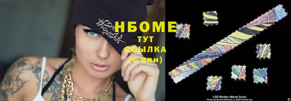 молекула духа Арсеньев