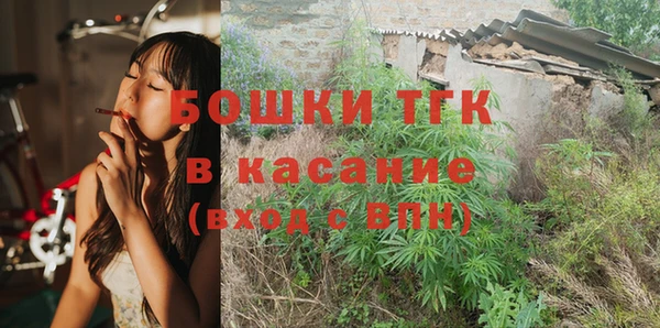 молекула духа Арсеньев